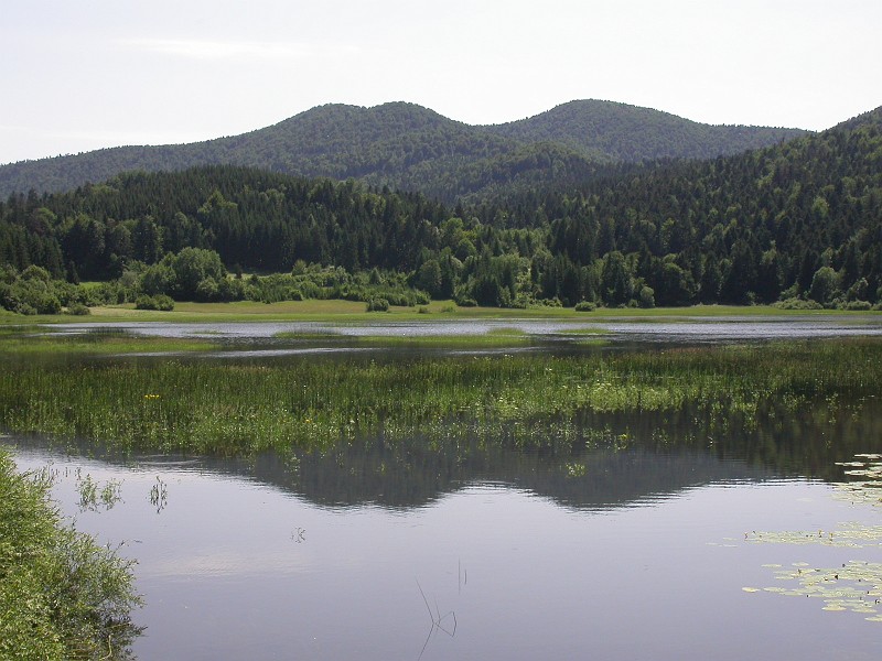 Cerknisko Jezero periodical lake 4.JPG